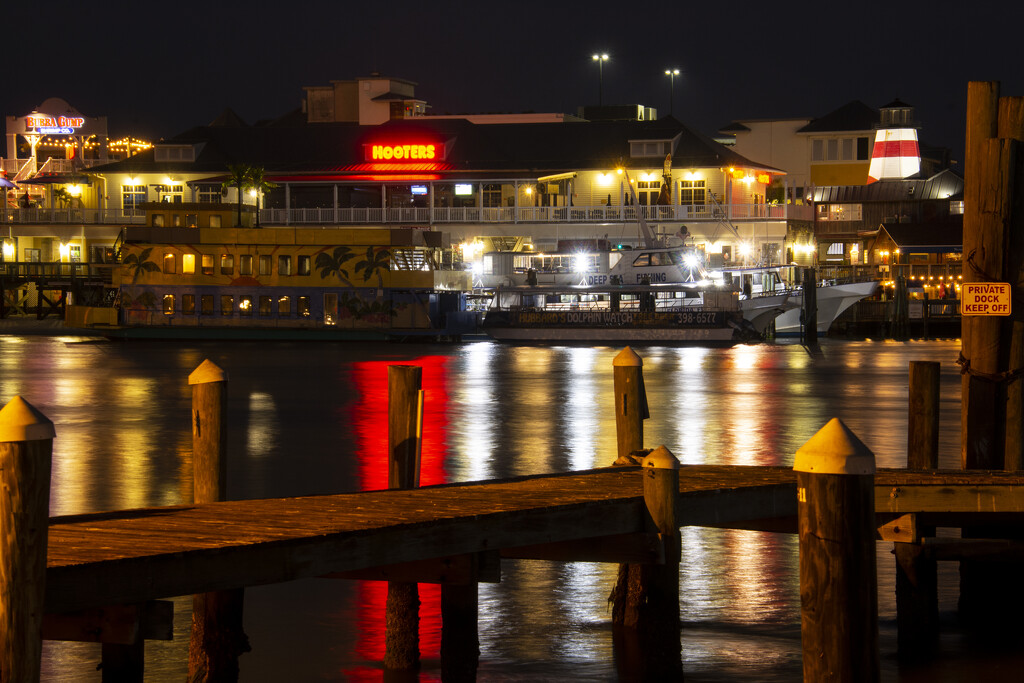 Night Lights By The Harbor by cwbill