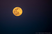 17th Jan 2022 - Wolf Moon Rises at Butler Beach