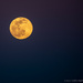 Wolf Moon Rises at Butler Beach