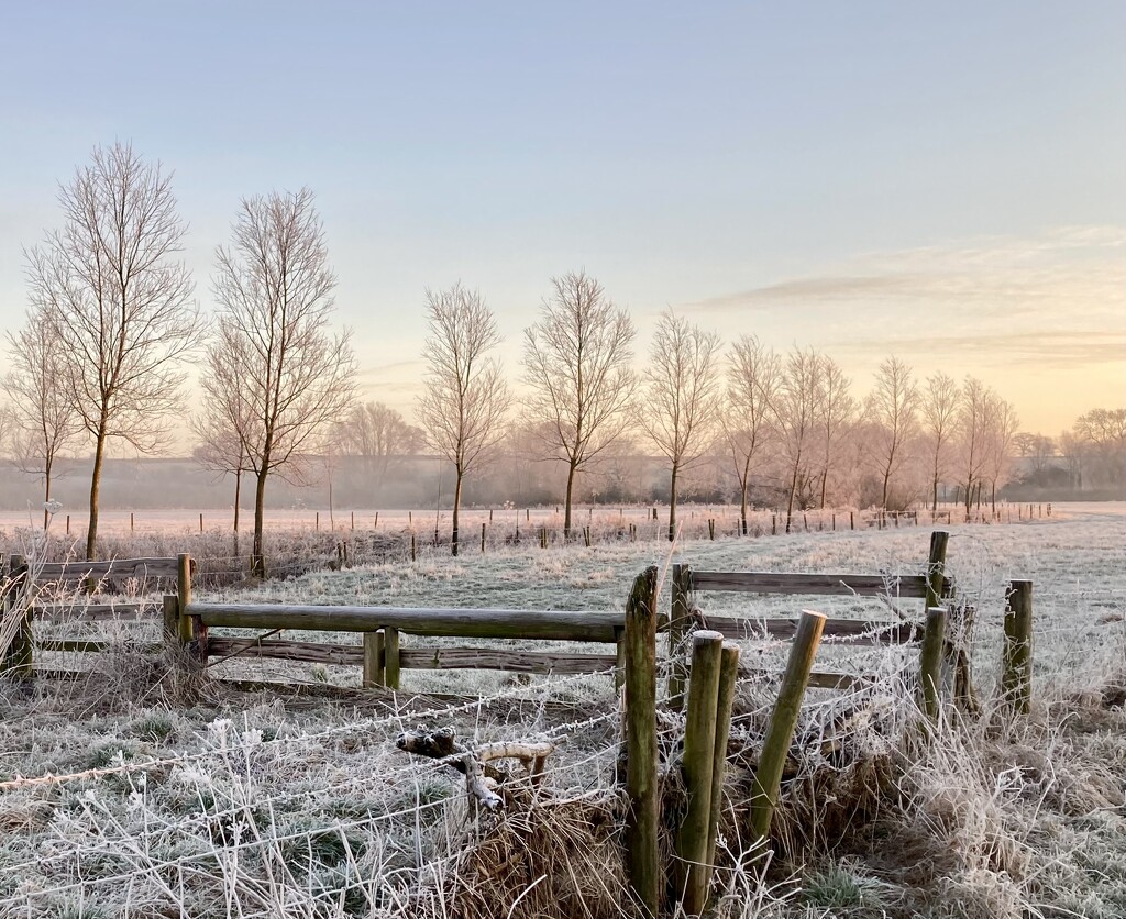 Frosty morning  by sianharrison