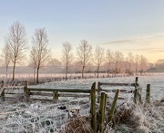 19th Jan 2022 - Frosty morning 