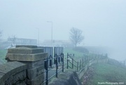 19th Jan 2022 - The fog 
