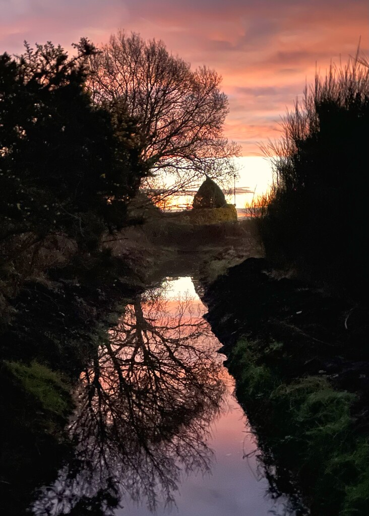 Dawn reflection by moonbi
