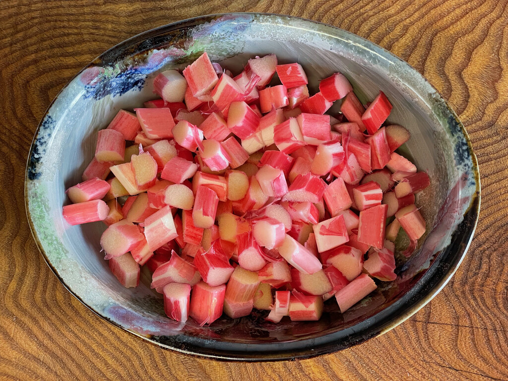 The First of the English Rhubarb by 365projectmaxine