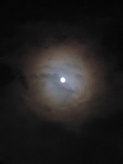 18th Jan 2022 - Moon and cloud 