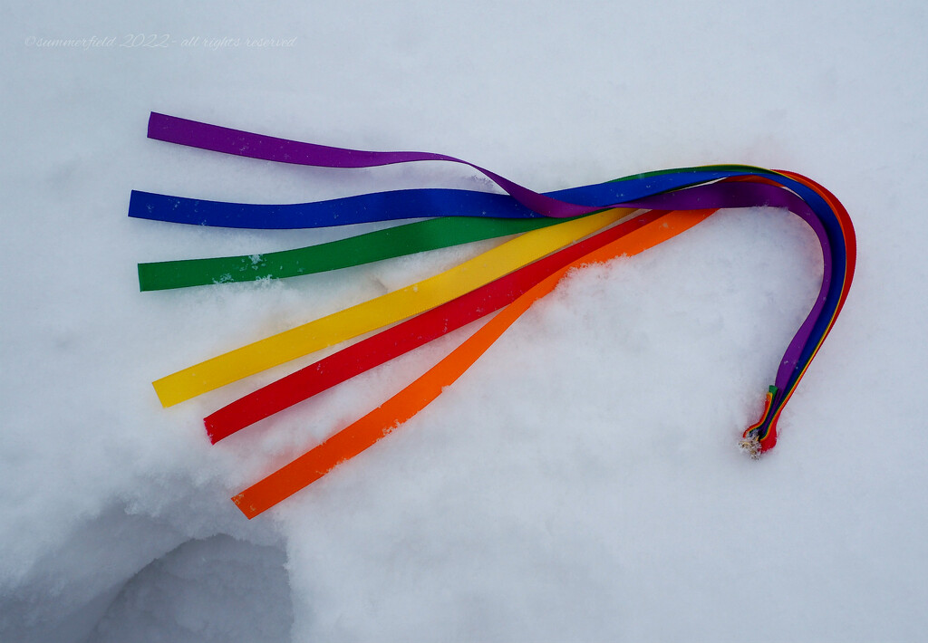 rainbow in the snow, a haiku by summerfield