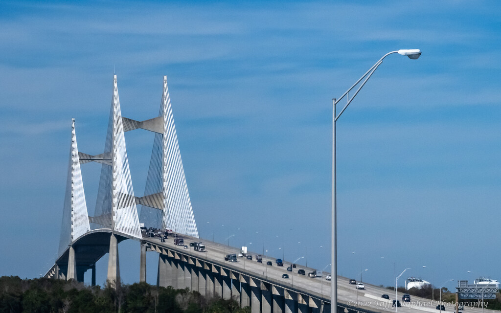 A Very Big Bridge by taffy