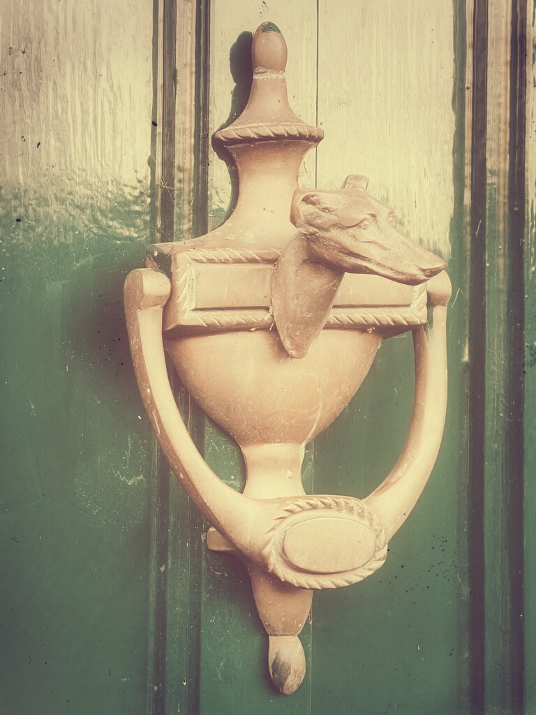 Door knocker by tinley23