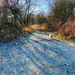 Frosty path