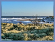 20th Jan 2022 - View From Alnmouth