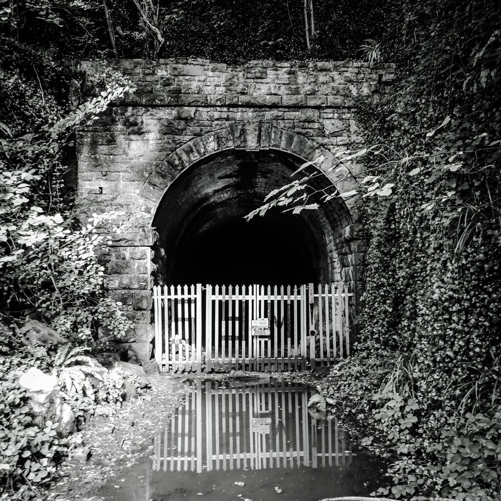 old railway tunnel by cam365pix