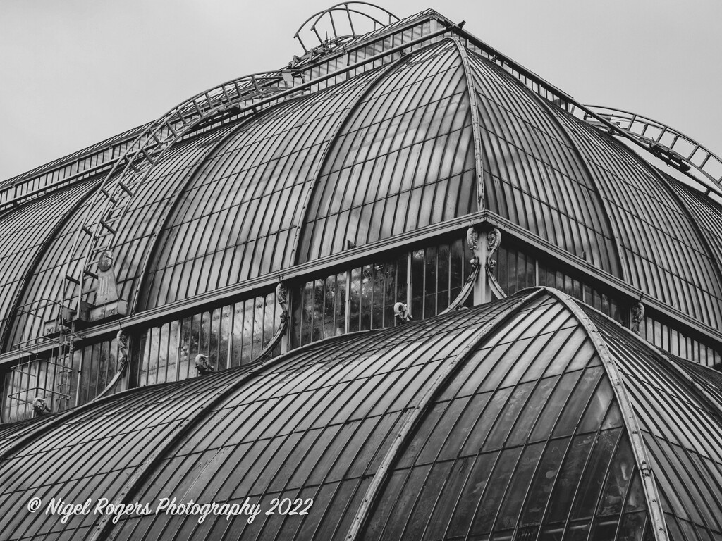 Palm House Kew by nigelrogers