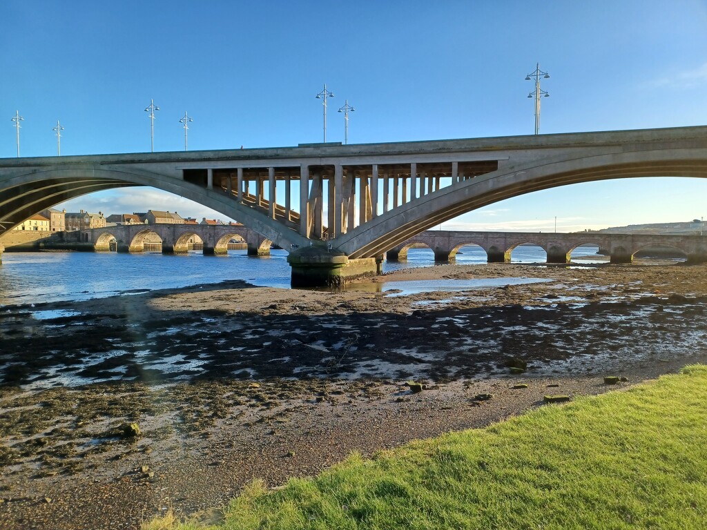 Bridges in Berwick by busylady