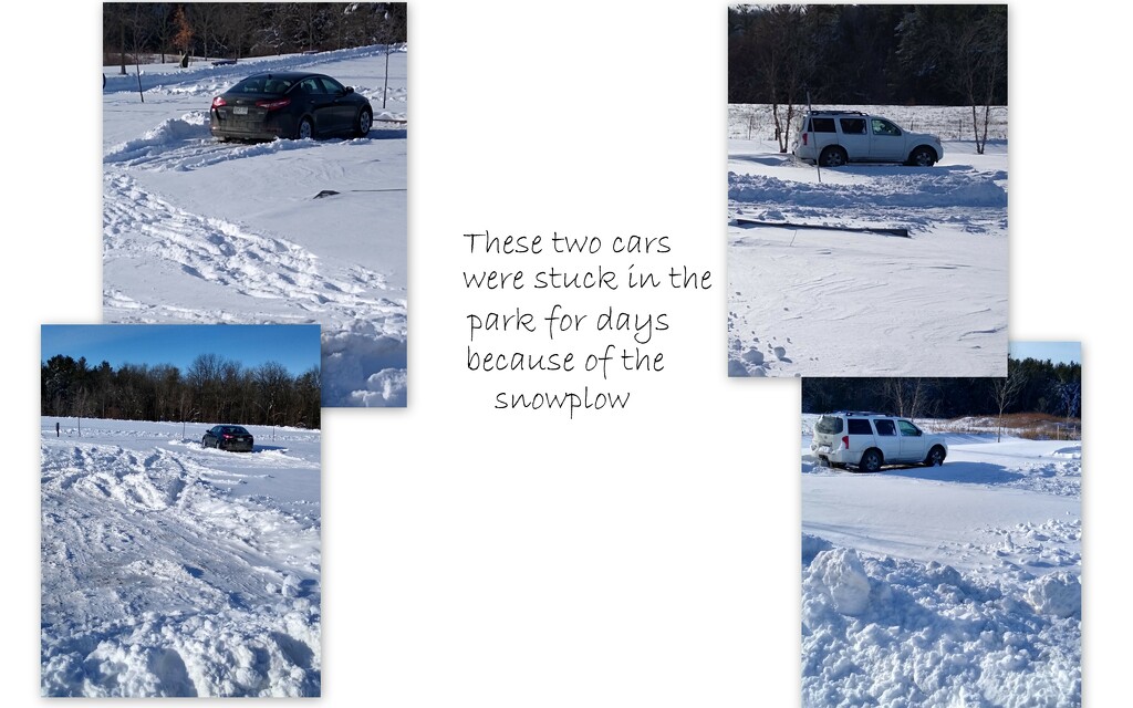 The snowplow had fenced them in... by bruni