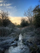 20th Jan 2022 - Icy Nature Reserve 