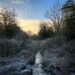 Icy Nature Reserve  by gaillambert