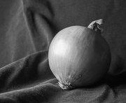 20th Jan 2022 - Onion