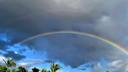21st Jan 2022 -  Almost a Double Rainbow ~     