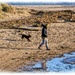 Woman And Dog On The Beach,Alnmouth