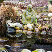 21st Jan 2022 - 1-21 - Buddha in garden