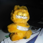 18th Jan 2022 - Cat #4: Garfield