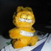 Cat #4: Garfield by spanishliz