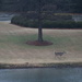 Deer Across the Pond at Piper Glen's 9th. by georgegailmcdowellcom