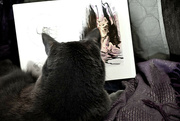 21st Jan 2022 - Cat with sketchbook portrait 
