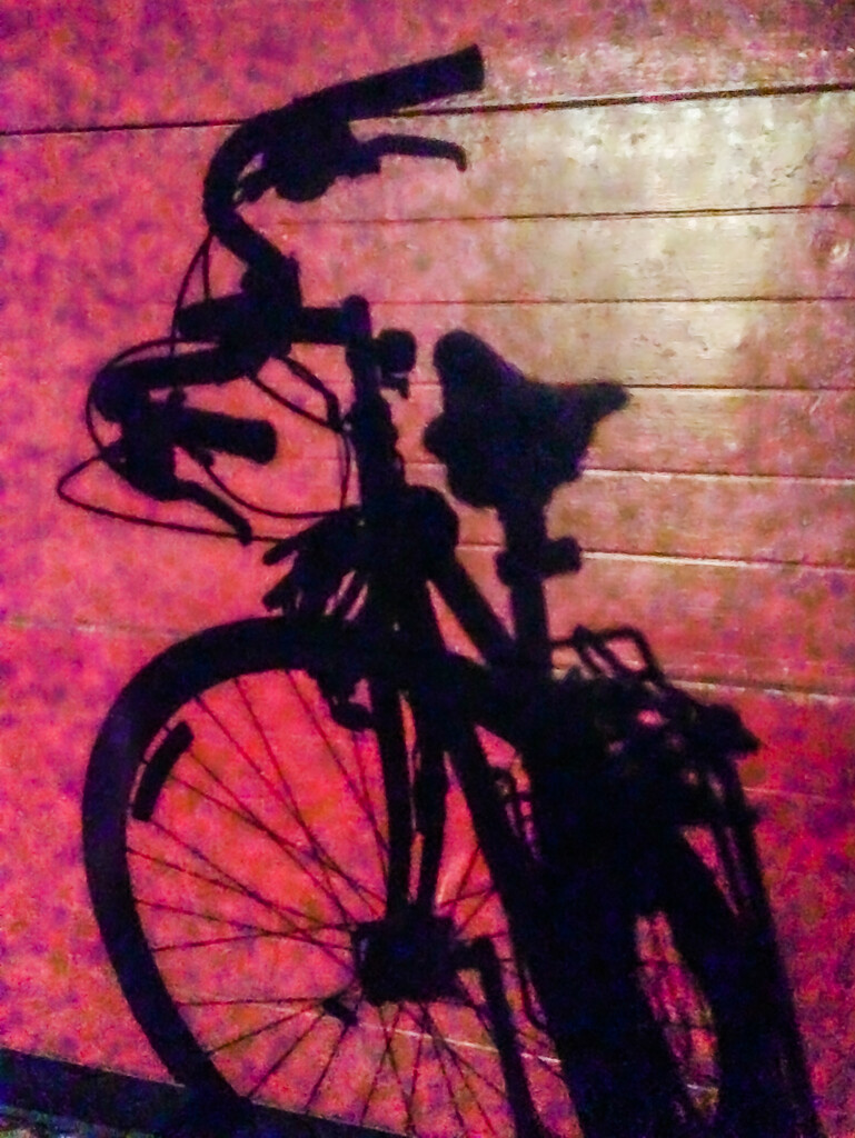 Portrait of a Bicycle by jbritt