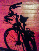 10th Apr 2014 - Portrait of a Bicycle