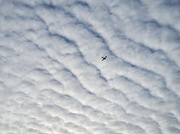 18th Jan 2022 - Cloud surfing