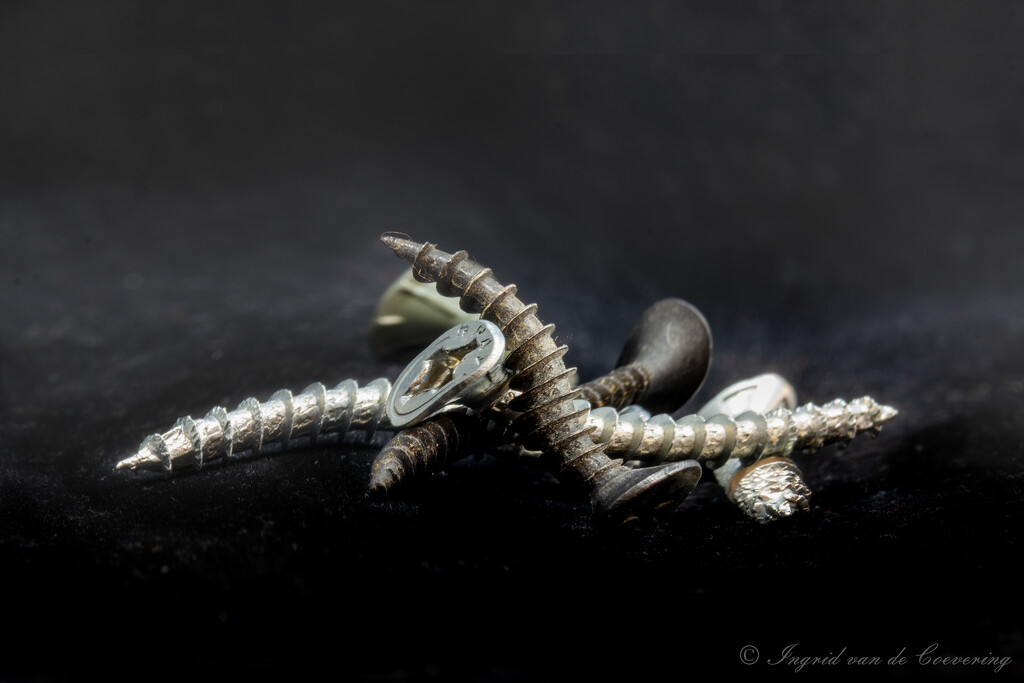 Twirled screws by ingrid01
