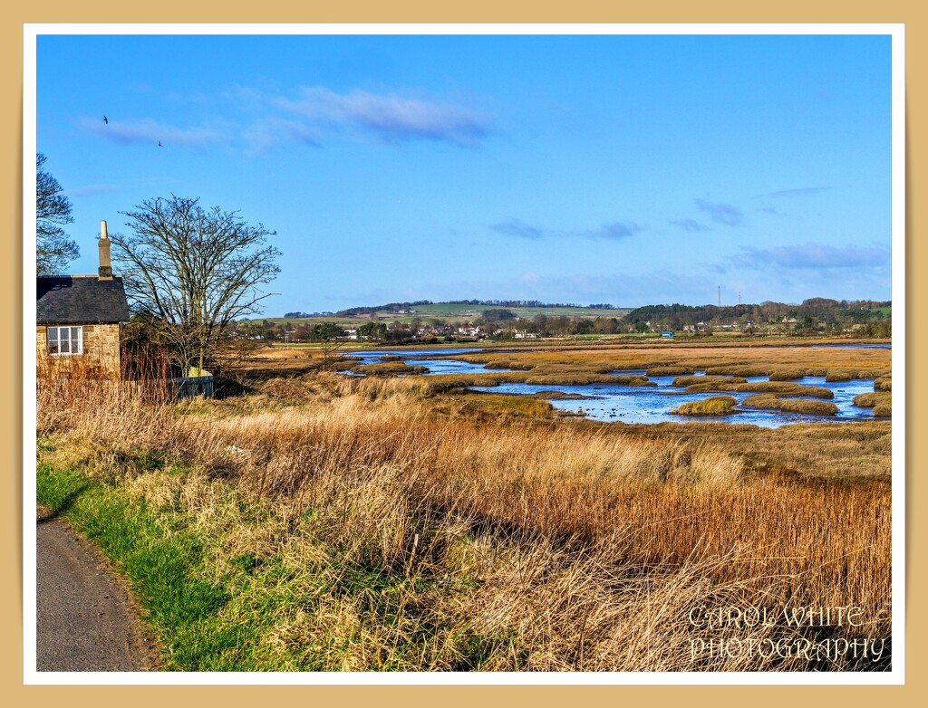 Mud Flats Near The River Aln by carolmw