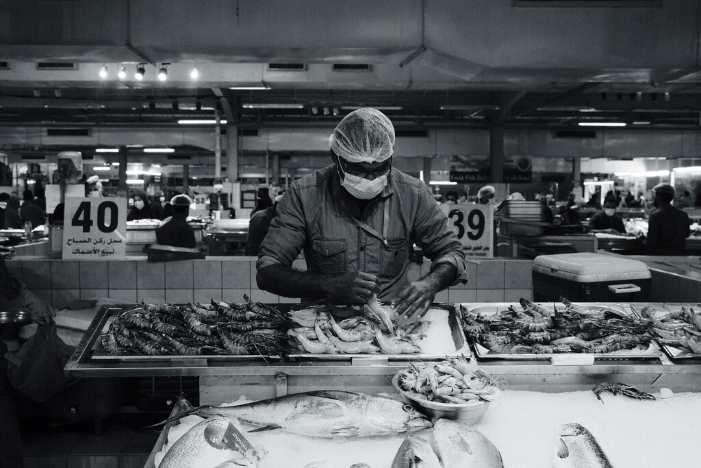 Fish market by stefanotrezzi