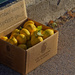 Free lemons, help yourself by laroque
