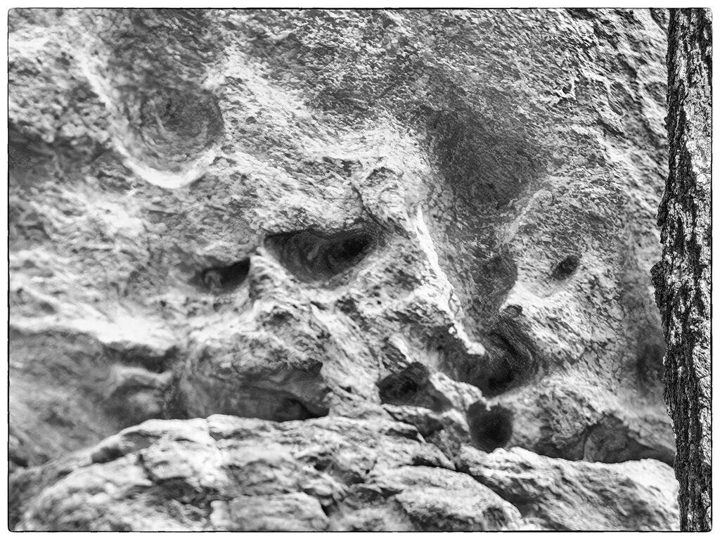 Animal Rock Faces by k9photo