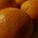 Oranges in Winter