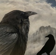 22nd Jan 2022 - Ravens