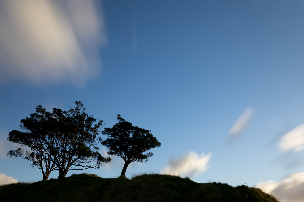 Pair of lonely trees on top of Mount Eden by creative_shots