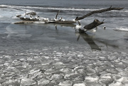 21st Jan 2022 - Ice along the Mississippi River