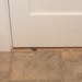 Cho's ear coming under the door by jill2022