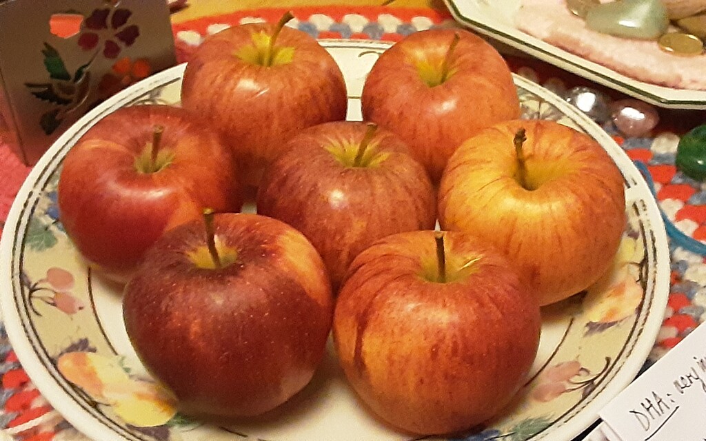 Seven Gala Apples. by grace55