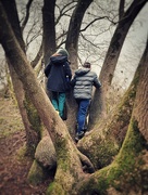 23rd Jan 2022 - Two boys and a tree 