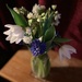 Birthday flowers  by denful