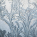 Frost on the Window by farmreporter