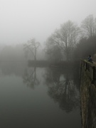 14th Jan 2022 - Misty Day in Highfield Park
