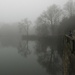 Misty Day in Highfield Park by oldjosh