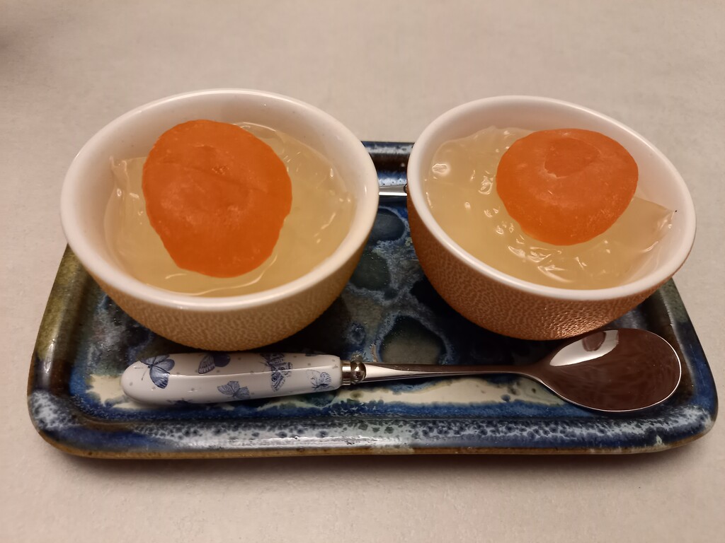 Japanese Dessert today by marianj