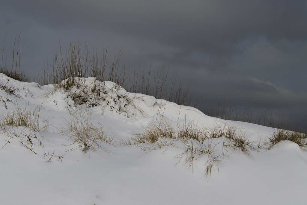 Snow Dune by timerskine