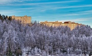 24th Jan 2022 - Fjell